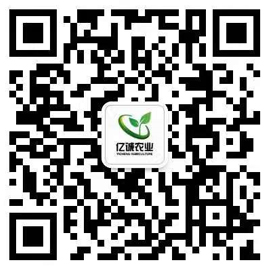 歐版反擊式破碎機(jī)廠家